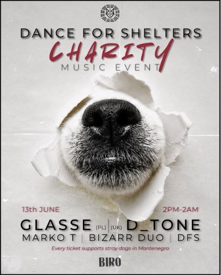 Charity Music Event: Would you DANCE FOR SHELTERS?! 🐾 June 13th at “Biro” 🐾🕺🎶💃🐾