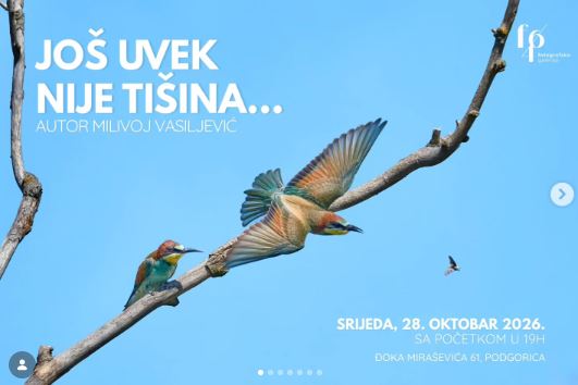 Opening of the photography exhibition "IT IS STILL NOT SILENCE" by author Milivoje Vasiljević on October 28th at the "f64" Gallery📸