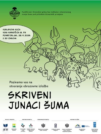 Educational exhibition “Hidden Forest Heroes” 🌲🧝🌳 September 28th – October 16th, Kuslev's House 🌲🧝🌳