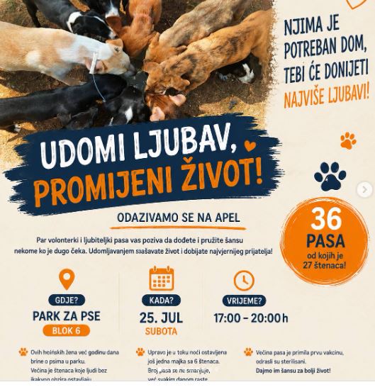 🐾Akcija udomljavanja napuštenih pasa 25.jula u Parku za pse u Bloku 6🐾❤️🐕🌳🐾
